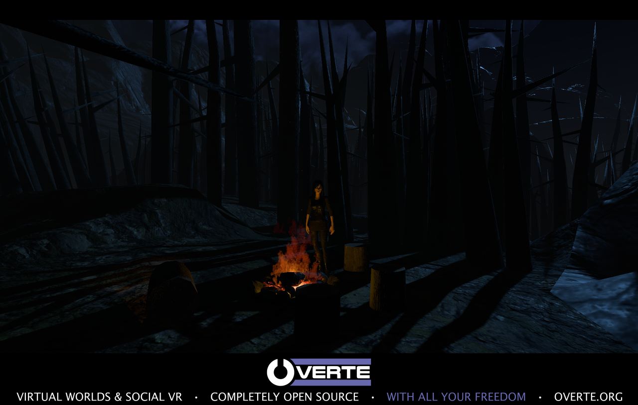 A dark forest clearing with a campfire surrounded by tall trees