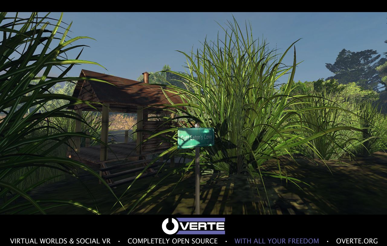 A small wooden building hidden among tall grass